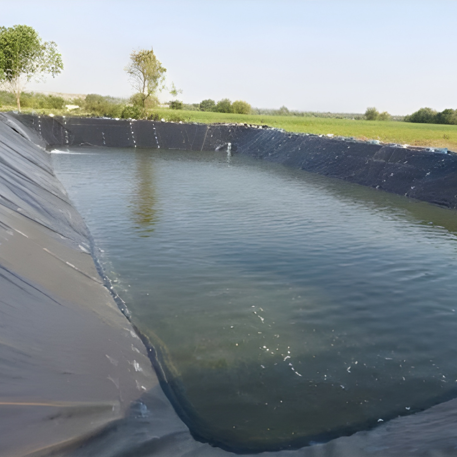 Pond Liner
